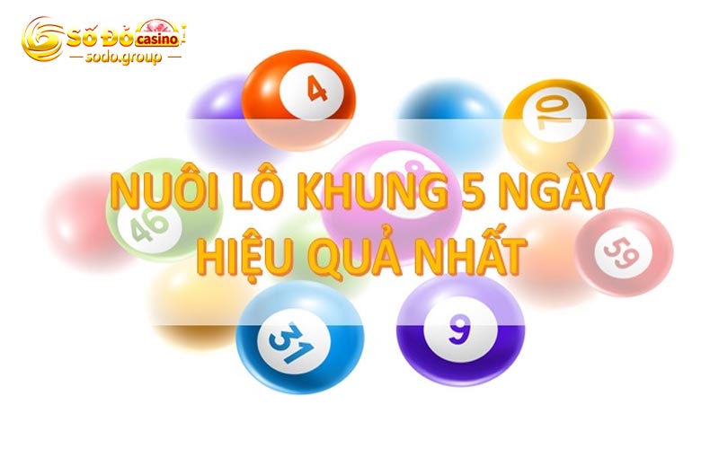 Chiến thuật đặc biệt khi phân chia tiền cược theo khung 5 ngày